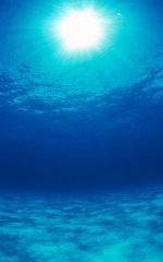 sunshine-from-underwater.jpg
